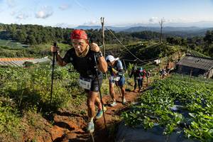 BIB: 9096
                            <button type="button" onclick="openModal(19196527)" class="btn btn-primary btn-sm float-right btn-popup" data-toggle="modal" data-target=".modal-high-quality">
                        <i class="fas fa-shopping-cart"></i> Add to Cart
                    </button>
                                            <button type="button" onclick="isThisMe(19196527, true)" class="btn btn-success btn-sm float-right btn-popup btn-isme hidden" data-toggle="tooltip" data-placement="bottom" title="นี่คือรูปของคุณใช่ไหม คลิกที่นี่เพื่อเอาเข้าอัลบั้ม">
                        <i class="fas fa-plus"></i> Add to album
                    </button>
                    <button type="button" onclick="isThisMe(19196527, false)" class="btn btn-warning btn-sm float-right btn-popup btn-isnotme hidden">
                        <i class="fas fa-ban"></i> Remove from album
                    </button>