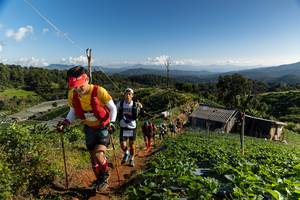 BIB: 
                            <button type="button" onclick="openModal(19199465)" class="btn btn-primary btn-sm float-right btn-popup" data-toggle="modal" data-target=".modal-high-quality">
                        <i class="fas fa-shopping-cart"></i> Add to Cart
                    </button>
                                            <button type="button" onclick="isThisMe(19199465, true)" class="btn btn-success btn-sm float-right btn-popup btn-isme hidden" data-toggle="tooltip" data-placement="bottom" title="นี่คือรูปของคุณใช่ไหม คลิกที่นี่เพื่อเอาเข้าอัลบั้ม">
                        <i class="fas fa-plus"></i> Add to album
                    </button>
                    <button type="button" onclick="isThisMe(19199465, false)" class="btn btn-warning btn-sm float-right btn-popup btn-isnotme hidden">
                        <i class="fas fa-ban"></i> Remove from album
                    </button>