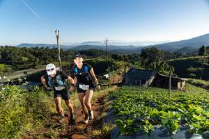 BIB: 313
                            <button type="button" onclick="openModal(19176183)" class="btn btn-primary btn-sm float-right btn-popup" data-toggle="modal" data-target=".modal-high-quality">
                        <i class="fas fa-shopping-cart"></i> Add to Cart
                    </button>
                                            <button type="button" onclick="isThisMe(19176183, true)" class="btn btn-success btn-sm float-right btn-popup btn-isme hidden" data-toggle="tooltip" data-placement="bottom" title="นี่คือรูปของคุณใช่ไหม คลิกที่นี่เพื่อเอาเข้าอัลบั้ม">
                        <i class="fas fa-plus"></i> Add to album
                    </button>
                    <button type="button" onclick="isThisMe(19176183, false)" class="btn btn-warning btn-sm float-right btn-popup btn-isnotme hidden">
                        <i class="fas fa-ban"></i> Remove from album
                    </button>