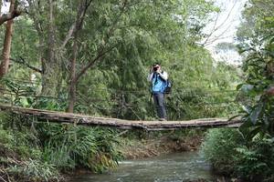 BIB: 
                            <button type="button" onclick="openModal(19209025)" class="btn btn-primary btn-sm float-right btn-popup" data-toggle="modal" data-target=".modal-high-quality">
                        <i class="fas fa-shopping-cart"></i> Add to Cart
                    </button>
                                            <button type="button" onclick="isThisMe(19209025, true)" class="btn btn-success btn-sm float-right btn-popup btn-isme hidden" data-toggle="tooltip" data-placement="bottom" title="นี่คือรูปของคุณใช่ไหม คลิกที่นี่เพื่อเอาเข้าอัลบั้ม">
                        <i class="fas fa-plus"></i> Add to album
                    </button>
                    <button type="button" onclick="isThisMe(19209025, false)" class="btn btn-warning btn-sm float-right btn-popup btn-isnotme hidden">
                        <i class="fas fa-ban"></i> Remove from album
                    </button>