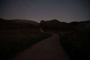 BIB: 
                            <button type="button" onclick="openModal(19272580)" class="btn btn-primary btn-sm float-right btn-popup" data-toggle="modal" data-target=".modal-high-quality">
                        <i class="fas fa-shopping-cart"></i> Add to Cart
                    </button>
                                            <button type="button" onclick="isThisMe(19272580, true)" class="btn btn-success btn-sm float-right btn-popup btn-isme hidden" data-toggle="tooltip" data-placement="bottom" title="นี่คือรูปของคุณใช่ไหม คลิกที่นี่เพื่อเอาเข้าอัลบั้ม">
                        <i class="fas fa-plus"></i> Add to album
                    </button>
                    <button type="button" onclick="isThisMe(19272580, false)" class="btn btn-warning btn-sm float-right btn-popup btn-isnotme hidden">
                        <i class="fas fa-ban"></i> Remove from album
                    </button>