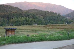 BIB: 
                            <button type="button" onclick="openModal(19272586)" class="btn btn-primary btn-sm float-right btn-popup" data-toggle="modal" data-target=".modal-high-quality">
                        <i class="fas fa-shopping-cart"></i> Add to Cart
                    </button>
                                            <button type="button" onclick="isThisMe(19272586, true)" class="btn btn-success btn-sm float-right btn-popup btn-isme hidden" data-toggle="tooltip" data-placement="bottom" title="นี่คือรูปของคุณใช่ไหม คลิกที่นี่เพื่อเอาเข้าอัลบั้ม">
                        <i class="fas fa-plus"></i> Add to album
                    </button>
                    <button type="button" onclick="isThisMe(19272586, false)" class="btn btn-warning btn-sm float-right btn-popup btn-isnotme hidden">
                        <i class="fas fa-ban"></i> Remove from album
                    </button>