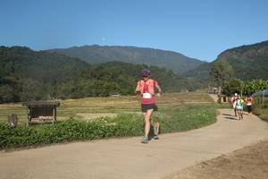 BIB: 
                            <button type="button" onclick="openModal(19260496)" class="btn btn-primary btn-sm float-right btn-popup" data-toggle="modal" data-target=".modal-high-quality">
                        <i class="fas fa-shopping-cart"></i> Add to Cart
                    </button>
                                            <button type="button" onclick="isThisMe(19260496, true)" class="btn btn-success btn-sm float-right btn-popup btn-isme hidden" data-toggle="tooltip" data-placement="bottom" title="นี่คือรูปของคุณใช่ไหม คลิกที่นี่เพื่อเอาเข้าอัลบั้ม">
                        <i class="fas fa-plus"></i> Add to album
                    </button>
                    <button type="button" onclick="isThisMe(19260496, false)" class="btn btn-warning btn-sm float-right btn-popup btn-isnotme hidden">
                        <i class="fas fa-ban"></i> Remove from album
                    </button>