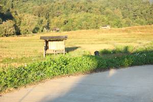 BIB: 
                            <button type="button" onclick="openModal(19248529)" class="btn btn-primary btn-sm float-right btn-popup" data-toggle="modal" data-target=".modal-high-quality">
                        <i class="fas fa-shopping-cart"></i> Add to Cart
                    </button>
                                            <button type="button" onclick="isThisMe(19248529, true)" class="btn btn-success btn-sm float-right btn-popup btn-isme hidden" data-toggle="tooltip" data-placement="bottom" title="นี่คือรูปของคุณใช่ไหม คลิกที่นี่เพื่อเอาเข้าอัลบั้ม">
                        <i class="fas fa-plus"></i> Add to album
                    </button>
                    <button type="button" onclick="isThisMe(19248529, false)" class="btn btn-warning btn-sm float-right btn-popup btn-isnotme hidden">
                        <i class="fas fa-ban"></i> Remove from album
                    </button>