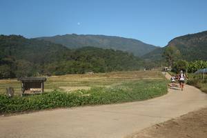 BIB: 
                            <button type="button" onclick="openModal(19259432)" class="btn btn-primary btn-sm float-right btn-popup" data-toggle="modal" data-target=".modal-high-quality">
                        <i class="fas fa-shopping-cart"></i> Add to Cart
                    </button>
                                            <button type="button" onclick="isThisMe(19259432, true)" class="btn btn-success btn-sm float-right btn-popup btn-isme hidden" data-toggle="tooltip" data-placement="bottom" title="นี่คือรูปของคุณใช่ไหม คลิกที่นี่เพื่อเอาเข้าอัลบั้ม">
                        <i class="fas fa-plus"></i> Add to album
                    </button>
                    <button type="button" onclick="isThisMe(19259432, false)" class="btn btn-warning btn-sm float-right btn-popup btn-isnotme hidden">
                        <i class="fas fa-ban"></i> Remove from album
                    </button>