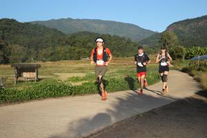 BIB: 
                            <button type="button" onclick="openModal(19252016)" class="btn btn-primary btn-sm float-right btn-popup" data-toggle="modal" data-target=".modal-high-quality">
                        <i class="fas fa-shopping-cart"></i> Add to Cart
                    </button>
                                            <button type="button" onclick="isThisMe(19252016, true)" class="btn btn-success btn-sm float-right btn-popup btn-isme hidden" data-toggle="tooltip" data-placement="bottom" title="นี่คือรูปของคุณใช่ไหม คลิกที่นี่เพื่อเอาเข้าอัลบั้ม">
                        <i class="fas fa-plus"></i> Add to album
                    </button>
                    <button type="button" onclick="isThisMe(19252016, false)" class="btn btn-warning btn-sm float-right btn-popup btn-isnotme hidden">
                        <i class="fas fa-ban"></i> Remove from album
                    </button>