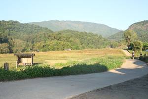 BIB: 
                            <button type="button" onclick="openModal(19249212)" class="btn btn-primary btn-sm float-right btn-popup" data-toggle="modal" data-target=".modal-high-quality">
                        <i class="fas fa-shopping-cart"></i> Add to Cart
                    </button>
                                            <button type="button" onclick="isThisMe(19249212, true)" class="btn btn-success btn-sm float-right btn-popup btn-isme hidden" data-toggle="tooltip" data-placement="bottom" title="นี่คือรูปของคุณใช่ไหม คลิกที่นี่เพื่อเอาเข้าอัลบั้ม">
                        <i class="fas fa-plus"></i> Add to album
                    </button>
                    <button type="button" onclick="isThisMe(19249212, false)" class="btn btn-warning btn-sm float-right btn-popup btn-isnotme hidden">
                        <i class="fas fa-ban"></i> Remove from album
                    </button>