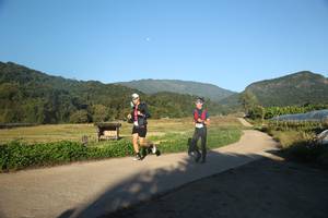 BIB: 
                            <button type="button" onclick="openModal(19251233)" class="btn btn-primary btn-sm float-right btn-popup" data-toggle="modal" data-target=".modal-high-quality">
                        <i class="fas fa-shopping-cart"></i> Add to Cart
                    </button>
                                            <button type="button" onclick="isThisMe(19251233, true)" class="btn btn-success btn-sm float-right btn-popup btn-isme hidden" data-toggle="tooltip" data-placement="bottom" title="นี่คือรูปของคุณใช่ไหม คลิกที่นี่เพื่อเอาเข้าอัลบั้ม">
                        <i class="fas fa-plus"></i> Add to album
                    </button>
                    <button type="button" onclick="isThisMe(19251233, false)" class="btn btn-warning btn-sm float-right btn-popup btn-isnotme hidden">
                        <i class="fas fa-ban"></i> Remove from album
                    </button>