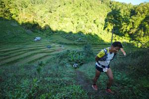 BIB: 112
                            <button type="button" onclick="openModal(19065292)" class="btn btn-primary btn-sm float-right btn-popup" data-toggle="modal" data-target=".modal-high-quality">
                        <i class="fas fa-shopping-cart"></i> Add to Cart
                    </button>
                                            <button type="button" onclick="isThisMe(19065292, true)" class="btn btn-success btn-sm float-right btn-popup btn-isme hidden" data-toggle="tooltip" data-placement="bottom" title="นี่คือรูปของคุณใช่ไหม คลิกที่นี่เพื่อเอาเข้าอัลบั้ม">
                        <i class="fas fa-plus"></i> Add to album
                    </button>
                    <button type="button" onclick="isThisMe(19065292, false)" class="btn btn-warning btn-sm float-right btn-popup btn-isnotme hidden">
                        <i class="fas fa-ban"></i> Remove from album
                    </button>