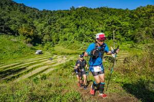 BIB: 2796
                            <button type="button" onclick="openModal(19344043)" class="btn btn-primary btn-sm float-right btn-popup" data-toggle="modal" data-target=".modal-high-quality">
                        <i class="fas fa-shopping-cart"></i> Add to Cart
                    </button>
                                            <button type="button" onclick="isThisMe(19344043, true)" class="btn btn-success btn-sm float-right btn-popup btn-isme hidden" data-toggle="tooltip" data-placement="bottom" title="นี่คือรูปของคุณใช่ไหม คลิกที่นี่เพื่อเอาเข้าอัลบั้ม">
                        <i class="fas fa-plus"></i> Add to album
                    </button>
                    <button type="button" onclick="isThisMe(19344043, false)" class="btn btn-warning btn-sm float-right btn-popup btn-isnotme hidden">
                        <i class="fas fa-ban"></i> Remove from album
                    </button>