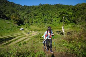 BIB: 
                            <button type="button" onclick="openModal(19075485)" class="btn btn-primary btn-sm float-right btn-popup" data-toggle="modal" data-target=".modal-high-quality">
                        <i class="fas fa-shopping-cart"></i> Add to Cart
                    </button>
                                            <button type="button" onclick="isThisMe(19075485, true)" class="btn btn-success btn-sm float-right btn-popup btn-isme hidden" data-toggle="tooltip" data-placement="bottom" title="นี่คือรูปของคุณใช่ไหม คลิกที่นี่เพื่อเอาเข้าอัลบั้ม">
                        <i class="fas fa-plus"></i> Add to album
                    </button>
                    <button type="button" onclick="isThisMe(19075485, false)" class="btn btn-warning btn-sm float-right btn-popup btn-isnotme hidden">
                        <i class="fas fa-ban"></i> Remove from album
                    </button>