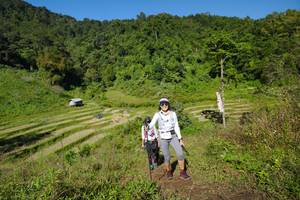 BIB: 
                            <button type="button" onclick="openModal(19086429)" class="btn btn-primary btn-sm float-right btn-popup" data-toggle="modal" data-target=".modal-high-quality">
                        <i class="fas fa-shopping-cart"></i> Add to Cart
                    </button>
                                            <button type="button" onclick="isThisMe(19086429, true)" class="btn btn-success btn-sm float-right btn-popup btn-isme hidden" data-toggle="tooltip" data-placement="bottom" title="นี่คือรูปของคุณใช่ไหม คลิกที่นี่เพื่อเอาเข้าอัลบั้ม">
                        <i class="fas fa-plus"></i> Add to album
                    </button>
                    <button type="button" onclick="isThisMe(19086429, false)" class="btn btn-warning btn-sm float-right btn-popup btn-isnotme hidden">
                        <i class="fas fa-ban"></i> Remove from album
                    </button>