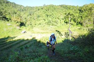 BIB: 
                            <button type="button" onclick="openModal(19081811)" class="btn btn-primary btn-sm float-right btn-popup" data-toggle="modal" data-target=".modal-high-quality">
                        <i class="fas fa-shopping-cart"></i> Add to Cart
                    </button>
                                            <button type="button" onclick="isThisMe(19081811, true)" class="btn btn-success btn-sm float-right btn-popup btn-isme hidden" data-toggle="tooltip" data-placement="bottom" title="นี่คือรูปของคุณใช่ไหม คลิกที่นี่เพื่อเอาเข้าอัลบั้ม">
                        <i class="fas fa-plus"></i> Add to album
                    </button>
                    <button type="button" onclick="isThisMe(19081811, false)" class="btn btn-warning btn-sm float-right btn-popup btn-isnotme hidden">
                        <i class="fas fa-ban"></i> Remove from album
                    </button>