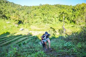 BIB: 
                            <button type="button" onclick="openModal(19348528)" class="btn btn-primary btn-sm float-right btn-popup" data-toggle="modal" data-target=".modal-high-quality">
                        <i class="fas fa-shopping-cart"></i> Add to Cart
                    </button>
                                            <button type="button" onclick="isThisMe(19348528, true)" class="btn btn-success btn-sm float-right btn-popup btn-isme hidden" data-toggle="tooltip" data-placement="bottom" title="นี่คือรูปของคุณใช่ไหม คลิกที่นี่เพื่อเอาเข้าอัลบั้ม">
                        <i class="fas fa-plus"></i> Add to album
                    </button>
                    <button type="button" onclick="isThisMe(19348528, false)" class="btn btn-warning btn-sm float-right btn-popup btn-isnotme hidden">
                        <i class="fas fa-ban"></i> Remove from album
                    </button>