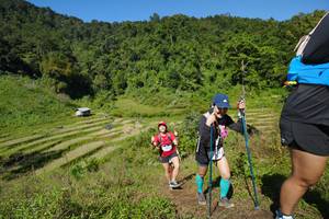 BIB: 
                            <button type="button" onclick="openModal(19099366)" class="btn btn-primary btn-sm float-right btn-popup" data-toggle="modal" data-target=".modal-high-quality">
                        <i class="fas fa-shopping-cart"></i> Add to Cart
                    </button>
                                            <button type="button" onclick="isThisMe(19099366, true)" class="btn btn-success btn-sm float-right btn-popup btn-isme hidden" data-toggle="tooltip" data-placement="bottom" title="นี่คือรูปของคุณใช่ไหม คลิกที่นี่เพื่อเอาเข้าอัลบั้ม">
                        <i class="fas fa-plus"></i> Add to album
                    </button>
                    <button type="button" onclick="isThisMe(19099366, false)" class="btn btn-warning btn-sm float-right btn-popup btn-isnotme hidden">
                        <i class="fas fa-ban"></i> Remove from album
                    </button>