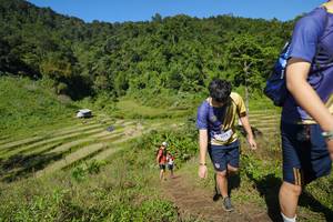 BIB: 
                            <button type="button" onclick="openModal(19098442)" class="btn btn-primary btn-sm float-right btn-popup" data-toggle="modal" data-target=".modal-high-quality">
                        <i class="fas fa-shopping-cart"></i> Add to Cart
                    </button>
                                            <button type="button" onclick="isThisMe(19098442, true)" class="btn btn-success btn-sm float-right btn-popup btn-isme hidden" data-toggle="tooltip" data-placement="bottom" title="นี่คือรูปของคุณใช่ไหม คลิกที่นี่เพื่อเอาเข้าอัลบั้ม">
                        <i class="fas fa-plus"></i> Add to album
                    </button>
                    <button type="button" onclick="isThisMe(19098442, false)" class="btn btn-warning btn-sm float-right btn-popup btn-isnotme hidden">
                        <i class="fas fa-ban"></i> Remove from album
                    </button>