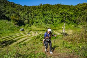 BIB: 
                            <button type="button" onclick="openModal(19345016)" class="btn btn-primary btn-sm float-right btn-popup" data-toggle="modal" data-target=".modal-high-quality">
                        <i class="fas fa-shopping-cart"></i> Add to Cart
                    </button>
                                            <button type="button" onclick="isThisMe(19345016, true)" class="btn btn-success btn-sm float-right btn-popup btn-isme hidden" data-toggle="tooltip" data-placement="bottom" title="นี่คือรูปของคุณใช่ไหม คลิกที่นี่เพื่อเอาเข้าอัลบั้ม">
                        <i class="fas fa-plus"></i> Add to album
                    </button>
                    <button type="button" onclick="isThisMe(19345016, false)" class="btn btn-warning btn-sm float-right btn-popup btn-isnotme hidden">
                        <i class="fas fa-ban"></i> Remove from album
                    </button>