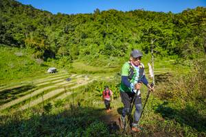 BIB: 
                            <button type="button" onclick="openModal(19350675)" class="btn btn-primary btn-sm float-right btn-popup" data-toggle="modal" data-target=".modal-high-quality">
                        <i class="fas fa-shopping-cart"></i> Add to Cart
                    </button>
                                            <button type="button" onclick="isThisMe(19350675, true)" class="btn btn-success btn-sm float-right btn-popup btn-isme hidden" data-toggle="tooltip" data-placement="bottom" title="นี่คือรูปของคุณใช่ไหม คลิกที่นี่เพื่อเอาเข้าอัลบั้ม">
                        <i class="fas fa-plus"></i> Add to album
                    </button>
                    <button type="button" onclick="isThisMe(19350675, false)" class="btn btn-warning btn-sm float-right btn-popup btn-isnotme hidden">
                        <i class="fas fa-ban"></i> Remove from album
                    </button>