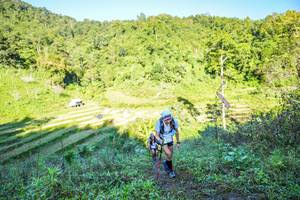 BIB: 
                            <button type="button" onclick="openModal(19348828)" class="btn btn-primary btn-sm float-right btn-popup" data-toggle="modal" data-target=".modal-high-quality">
                        <i class="fas fa-shopping-cart"></i> Add to Cart
                    </button>
                                            <button type="button" onclick="isThisMe(19348828, true)" class="btn btn-success btn-sm float-right btn-popup btn-isme hidden" data-toggle="tooltip" data-placement="bottom" title="นี่คือรูปของคุณใช่ไหม คลิกที่นี่เพื่อเอาเข้าอัลบั้ม">
                        <i class="fas fa-plus"></i> Add to album
                    </button>
                    <button type="button" onclick="isThisMe(19348828, false)" class="btn btn-warning btn-sm float-right btn-popup btn-isnotme hidden">
                        <i class="fas fa-ban"></i> Remove from album
                    </button>