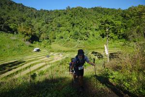 BIB: 
                            <button type="button" onclick="openModal(19100058)" class="btn btn-primary btn-sm float-right btn-popup" data-toggle="modal" data-target=".modal-high-quality">
                        <i class="fas fa-shopping-cart"></i> Add to Cart
                    </button>
                                            <button type="button" onclick="isThisMe(19100058, true)" class="btn btn-success btn-sm float-right btn-popup btn-isme hidden" data-toggle="tooltip" data-placement="bottom" title="นี่คือรูปของคุณใช่ไหม คลิกที่นี่เพื่อเอาเข้าอัลบั้ม">
                        <i class="fas fa-plus"></i> Add to album
                    </button>
                    <button type="button" onclick="isThisMe(19100058, false)" class="btn btn-warning btn-sm float-right btn-popup btn-isnotme hidden">
                        <i class="fas fa-ban"></i> Remove from album
                    </button>