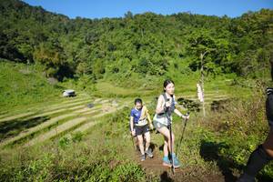 BIB: 
                            <button type="button" onclick="openModal(19072248)" class="btn btn-primary btn-sm float-right btn-popup" data-toggle="modal" data-target=".modal-high-quality">
                        <i class="fas fa-shopping-cart"></i> Add to Cart
                    </button>
                                            <button type="button" onclick="isThisMe(19072248, true)" class="btn btn-success btn-sm float-right btn-popup btn-isme hidden" data-toggle="tooltip" data-placement="bottom" title="นี่คือรูปของคุณใช่ไหม คลิกที่นี่เพื่อเอาเข้าอัลบั้ม">
                        <i class="fas fa-plus"></i> Add to album
                    </button>
                    <button type="button" onclick="isThisMe(19072248, false)" class="btn btn-warning btn-sm float-right btn-popup btn-isnotme hidden">
                        <i class="fas fa-ban"></i> Remove from album
                    </button>