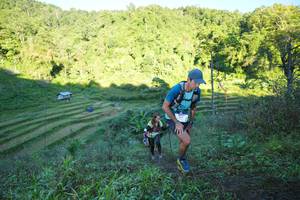 BIB: 
                            <button type="button" onclick="openModal(19066460)" class="btn btn-primary btn-sm float-right btn-popup" data-toggle="modal" data-target=".modal-high-quality">
                        <i class="fas fa-shopping-cart"></i> Add to Cart
                    </button>
                                            <button type="button" onclick="isThisMe(19066460, true)" class="btn btn-success btn-sm float-right btn-popup btn-isme hidden" data-toggle="tooltip" data-placement="bottom" title="นี่คือรูปของคุณใช่ไหม คลิกที่นี่เพื่อเอาเข้าอัลบั้ม">
                        <i class="fas fa-plus"></i> Add to album
                    </button>
                    <button type="button" onclick="isThisMe(19066460, false)" class="btn btn-warning btn-sm float-right btn-popup btn-isnotme hidden">
                        <i class="fas fa-ban"></i> Remove from album
                    </button>