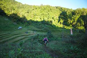 BIB: 
                            <button type="button" onclick="openModal(19064853)" class="btn btn-primary btn-sm float-right btn-popup" data-toggle="modal" data-target=".modal-high-quality">
                        <i class="fas fa-shopping-cart"></i> Add to Cart
                    </button>
                                            <button type="button" onclick="isThisMe(19064853, true)" class="btn btn-success btn-sm float-right btn-popup btn-isme hidden" data-toggle="tooltip" data-placement="bottom" title="นี่คือรูปของคุณใช่ไหม คลิกที่นี่เพื่อเอาเข้าอัลบั้ม">
                        <i class="fas fa-plus"></i> Add to album
                    </button>
                    <button type="button" onclick="isThisMe(19064853, false)" class="btn btn-warning btn-sm float-right btn-popup btn-isnotme hidden">
                        <i class="fas fa-ban"></i> Remove from album
                    </button>