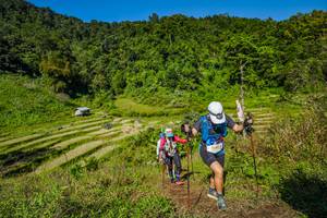 BIB: 2241
                            <button type="button" onclick="openModal(19344562)" class="btn btn-primary btn-sm float-right btn-popup" data-toggle="modal" data-target=".modal-high-quality">
                        <i class="fas fa-shopping-cart"></i> Add to Cart
                    </button>
                                            <button type="button" onclick="isThisMe(19344562, true)" class="btn btn-success btn-sm float-right btn-popup btn-isme hidden" data-toggle="tooltip" data-placement="bottom" title="นี่คือรูปของคุณใช่ไหม คลิกที่นี่เพื่อเอาเข้าอัลบั้ม">
                        <i class="fas fa-plus"></i> Add to album
                    </button>
                    <button type="button" onclick="isThisMe(19344562, false)" class="btn btn-warning btn-sm float-right btn-popup btn-isnotme hidden">
                        <i class="fas fa-ban"></i> Remove from album
                    </button>