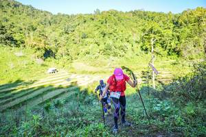 BIB: 
                            <button type="button" onclick="openModal(19348777)" class="btn btn-primary btn-sm float-right btn-popup" data-toggle="modal" data-target=".modal-high-quality">
                        <i class="fas fa-shopping-cart"></i> Add to Cart
                    </button>
                                            <button type="button" onclick="isThisMe(19348777, true)" class="btn btn-success btn-sm float-right btn-popup btn-isme hidden" data-toggle="tooltip" data-placement="bottom" title="นี่คือรูปของคุณใช่ไหม คลิกที่นี่เพื่อเอาเข้าอัลบั้ม">
                        <i class="fas fa-plus"></i> Add to album
                    </button>
                    <button type="button" onclick="isThisMe(19348777, false)" class="btn btn-warning btn-sm float-right btn-popup btn-isnotme hidden">
                        <i class="fas fa-ban"></i> Remove from album
                    </button>