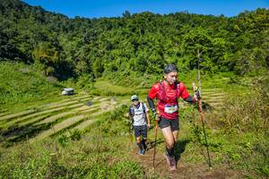 BIB: 2334, 
                            <button type="button" onclick="openModal(19345133)" class="btn btn-primary btn-sm float-right btn-popup" data-toggle="modal" data-target=".modal-high-quality">
                        <i class="fas fa-shopping-cart"></i> Add to Cart
                    </button>
                                            <button type="button" onclick="isThisMe(19345133, true)" class="btn btn-success btn-sm float-right btn-popup btn-isme hidden" data-toggle="tooltip" data-placement="bottom" title="นี่คือรูปของคุณใช่ไหม คลิกที่นี่เพื่อเอาเข้าอัลบั้ม">
                        <i class="fas fa-plus"></i> Add to album
                    </button>
                    <button type="button" onclick="isThisMe(19345133, false)" class="btn btn-warning btn-sm float-right btn-popup btn-isnotme hidden">
                        <i class="fas fa-ban"></i> Remove from album
                    </button>