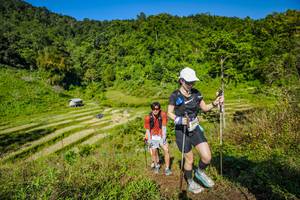 BIB: 2005
                            <button type="button" onclick="openModal(19351804)" class="btn btn-primary btn-sm float-right btn-popup" data-toggle="modal" data-target=".modal-high-quality">
                        <i class="fas fa-shopping-cart"></i> Add to Cart
                    </button>
                                            <button type="button" onclick="isThisMe(19351804, true)" class="btn btn-success btn-sm float-right btn-popup btn-isme hidden" data-toggle="tooltip" data-placement="bottom" title="นี่คือรูปของคุณใช่ไหม คลิกที่นี่เพื่อเอาเข้าอัลบั้ม">
                        <i class="fas fa-plus"></i> Add to album
                    </button>
                    <button type="button" onclick="isThisMe(19351804, false)" class="btn btn-warning btn-sm float-right btn-popup btn-isnotme hidden">
                        <i class="fas fa-ban"></i> Remove from album
                    </button>