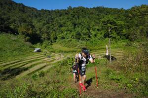 BIB: 
                            <button type="button" onclick="openModal(19097926)" class="btn btn-primary btn-sm float-right btn-popup" data-toggle="modal" data-target=".modal-high-quality">
                        <i class="fas fa-shopping-cart"></i> Add to Cart
                    </button>
                                            <button type="button" onclick="isThisMe(19097926, true)" class="btn btn-success btn-sm float-right btn-popup btn-isme hidden" data-toggle="tooltip" data-placement="bottom" title="นี่คือรูปของคุณใช่ไหม คลิกที่นี่เพื่อเอาเข้าอัลบั้ม">
                        <i class="fas fa-plus"></i> Add to album
                    </button>
                    <button type="button" onclick="isThisMe(19097926, false)" class="btn btn-warning btn-sm float-right btn-popup btn-isnotme hidden">
                        <i class="fas fa-ban"></i> Remove from album
                    </button>