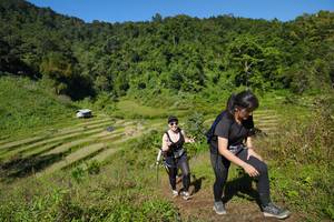 BIB: 
                            <button type="button" onclick="openModal(19101659)" class="btn btn-primary btn-sm float-right btn-popup" data-toggle="modal" data-target=".modal-high-quality">
                        <i class="fas fa-shopping-cart"></i> Add to Cart
                    </button>
                                            <button type="button" onclick="isThisMe(19101659, true)" class="btn btn-success btn-sm float-right btn-popup btn-isme hidden" data-toggle="tooltip" data-placement="bottom" title="นี่คือรูปของคุณใช่ไหม คลิกที่นี่เพื่อเอาเข้าอัลบั้ม">
                        <i class="fas fa-plus"></i> Add to album
                    </button>
                    <button type="button" onclick="isThisMe(19101659, false)" class="btn btn-warning btn-sm float-right btn-popup btn-isnotme hidden">
                        <i class="fas fa-ban"></i> Remove from album
                    </button>