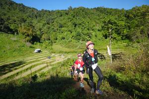 BIB: 
                            <button type="button" onclick="openModal(19097676)" class="btn btn-primary btn-sm float-right btn-popup" data-toggle="modal" data-target=".modal-high-quality">
                        <i class="fas fa-shopping-cart"></i> Add to Cart
                    </button>
                                            <button type="button" onclick="isThisMe(19097676, true)" class="btn btn-success btn-sm float-right btn-popup btn-isme hidden" data-toggle="tooltip" data-placement="bottom" title="นี่คือรูปของคุณใช่ไหม คลิกที่นี่เพื่อเอาเข้าอัลบั้ม">
                        <i class="fas fa-plus"></i> Add to album
                    </button>
                    <button type="button" onclick="isThisMe(19097676, false)" class="btn btn-warning btn-sm float-right btn-popup btn-isnotme hidden">
                        <i class="fas fa-ban"></i> Remove from album
                    </button>