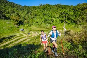 BIB: 
                            <button type="button" onclick="openModal(19350274)" class="btn btn-primary btn-sm float-right btn-popup" data-toggle="modal" data-target=".modal-high-quality">
                        <i class="fas fa-shopping-cart"></i> Add to Cart
                    </button>
                                            <button type="button" onclick="isThisMe(19350274, true)" class="btn btn-success btn-sm float-right btn-popup btn-isme hidden" data-toggle="tooltip" data-placement="bottom" title="นี่คือรูปของคุณใช่ไหม คลิกที่นี่เพื่อเอาเข้าอัลบั้ม">
                        <i class="fas fa-plus"></i> Add to album
                    </button>
                    <button type="button" onclick="isThisMe(19350274, false)" class="btn btn-warning btn-sm float-right btn-popup btn-isnotme hidden">
                        <i class="fas fa-ban"></i> Remove from album
                    </button>