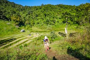 BIB: 
                            <button type="button" onclick="openModal(19351597)" class="btn btn-primary btn-sm float-right btn-popup" data-toggle="modal" data-target=".modal-high-quality">
                        <i class="fas fa-shopping-cart"></i> Add to Cart
                    </button>
                                            <button type="button" onclick="isThisMe(19351597, true)" class="btn btn-success btn-sm float-right btn-popup btn-isme hidden" data-toggle="tooltip" data-placement="bottom" title="นี่คือรูปของคุณใช่ไหม คลิกที่นี่เพื่อเอาเข้าอัลบั้ม">
                        <i class="fas fa-plus"></i> Add to album
                    </button>
                    <button type="button" onclick="isThisMe(19351597, false)" class="btn btn-warning btn-sm float-right btn-popup btn-isnotme hidden">
                        <i class="fas fa-ban"></i> Remove from album
                    </button>