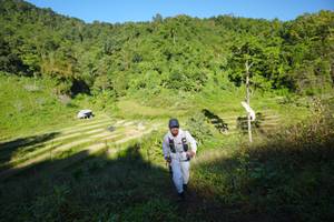 BIB: 
                            <button type="button" onclick="openModal(19086025)" class="btn btn-primary btn-sm float-right btn-popup" data-toggle="modal" data-target=".modal-high-quality">
                        <i class="fas fa-shopping-cart"></i> Add to Cart
                    </button>
                                            <button type="button" onclick="isThisMe(19086025, true)" class="btn btn-success btn-sm float-right btn-popup btn-isme hidden" data-toggle="tooltip" data-placement="bottom" title="นี่คือรูปของคุณใช่ไหม คลิกที่นี่เพื่อเอาเข้าอัลบั้ม">
                        <i class="fas fa-plus"></i> Add to album
                    </button>
                    <button type="button" onclick="isThisMe(19086025, false)" class="btn btn-warning btn-sm float-right btn-popup btn-isnotme hidden">
                        <i class="fas fa-ban"></i> Remove from album
                    </button>