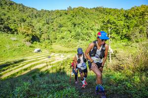 BIB: 
                            <button type="button" onclick="openModal(19349710)" class="btn btn-primary btn-sm float-right btn-popup" data-toggle="modal" data-target=".modal-high-quality">
                        <i class="fas fa-shopping-cart"></i> Add to Cart
                    </button>
                                            <button type="button" onclick="isThisMe(19349710, true)" class="btn btn-success btn-sm float-right btn-popup btn-isme hidden" data-toggle="tooltip" data-placement="bottom" title="นี่คือรูปของคุณใช่ไหม คลิกที่นี่เพื่อเอาเข้าอัลบั้ม">
                        <i class="fas fa-plus"></i> Add to album
                    </button>
                    <button type="button" onclick="isThisMe(19349710, false)" class="btn btn-warning btn-sm float-right btn-popup btn-isnotme hidden">
                        <i class="fas fa-ban"></i> Remove from album
                    </button>