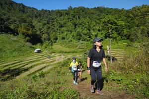 BIB: 
                            <button type="button" onclick="openModal(19097294)" class="btn btn-primary btn-sm float-right btn-popup" data-toggle="modal" data-target=".modal-high-quality">
                        <i class="fas fa-shopping-cart"></i> Add to Cart
                    </button>
                                            <button type="button" onclick="isThisMe(19097294, true)" class="btn btn-success btn-sm float-right btn-popup btn-isme hidden" data-toggle="tooltip" data-placement="bottom" title="นี่คือรูปของคุณใช่ไหม คลิกที่นี่เพื่อเอาเข้าอัลบั้ม">
                        <i class="fas fa-plus"></i> Add to album
                    </button>
                    <button type="button" onclick="isThisMe(19097294, false)" class="btn btn-warning btn-sm float-right btn-popup btn-isnotme hidden">
                        <i class="fas fa-ban"></i> Remove from album
                    </button>