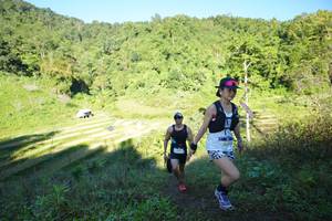 BIB: 
                            <button type="button" onclick="openModal(19084267)" class="btn btn-primary btn-sm float-right btn-popup" data-toggle="modal" data-target=".modal-high-quality">
                        <i class="fas fa-shopping-cart"></i> Add to Cart
                    </button>
                                            <button type="button" onclick="isThisMe(19084267, true)" class="btn btn-success btn-sm float-right btn-popup btn-isme hidden" data-toggle="tooltip" data-placement="bottom" title="นี่คือรูปของคุณใช่ไหม คลิกที่นี่เพื่อเอาเข้าอัลบั้ม">
                        <i class="fas fa-plus"></i> Add to album
                    </button>
                    <button type="button" onclick="isThisMe(19084267, false)" class="btn btn-warning btn-sm float-right btn-popup btn-isnotme hidden">
                        <i class="fas fa-ban"></i> Remove from album
                    </button>