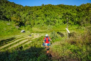 BIB: 
                            <button type="button" onclick="openModal(19350490)" class="btn btn-primary btn-sm float-right btn-popup" data-toggle="modal" data-target=".modal-high-quality">
                        <i class="fas fa-shopping-cart"></i> Add to Cart
                    </button>
                                            <button type="button" onclick="isThisMe(19350490, true)" class="btn btn-success btn-sm float-right btn-popup btn-isme hidden" data-toggle="tooltip" data-placement="bottom" title="นี่คือรูปของคุณใช่ไหม คลิกที่นี่เพื่อเอาเข้าอัลบั้ม">
                        <i class="fas fa-plus"></i> Add to album
                    </button>
                    <button type="button" onclick="isThisMe(19350490, false)" class="btn btn-warning btn-sm float-right btn-popup btn-isnotme hidden">
                        <i class="fas fa-ban"></i> Remove from album
                    </button>