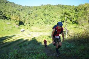 BIB: 
                            <button type="button" onclick="openModal(19084140)" class="btn btn-primary btn-sm float-right btn-popup" data-toggle="modal" data-target=".modal-high-quality">
                        <i class="fas fa-shopping-cart"></i> Add to Cart
                    </button>
                                            <button type="button" onclick="isThisMe(19084140, true)" class="btn btn-success btn-sm float-right btn-popup btn-isme hidden" data-toggle="tooltip" data-placement="bottom" title="นี่คือรูปของคุณใช่ไหม คลิกที่นี่เพื่อเอาเข้าอัลบั้ม">
                        <i class="fas fa-plus"></i> Add to album
                    </button>
                    <button type="button" onclick="isThisMe(19084140, false)" class="btn btn-warning btn-sm float-right btn-popup btn-isnotme hidden">
                        <i class="fas fa-ban"></i> Remove from album
                    </button>