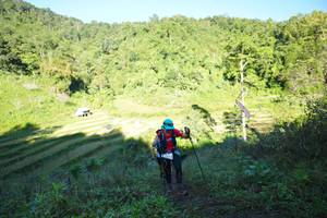 BIB: 
                            <button type="button" onclick="openModal(19079519)" class="btn btn-primary btn-sm float-right btn-popup" data-toggle="modal" data-target=".modal-high-quality">
                        <i class="fas fa-shopping-cart"></i> Add to Cart
                    </button>
                                            <button type="button" onclick="isThisMe(19079519, true)" class="btn btn-success btn-sm float-right btn-popup btn-isme hidden" data-toggle="tooltip" data-placement="bottom" title="นี่คือรูปของคุณใช่ไหม คลิกที่นี่เพื่อเอาเข้าอัลบั้ม">
                        <i class="fas fa-plus"></i> Add to album
                    </button>
                    <button type="button" onclick="isThisMe(19079519, false)" class="btn btn-warning btn-sm float-right btn-popup btn-isnotme hidden">
                        <i class="fas fa-ban"></i> Remove from album
                    </button>