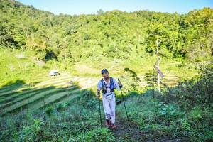 BIB: 
                            <button type="button" onclick="openModal(19348575)" class="btn btn-primary btn-sm float-right btn-popup" data-toggle="modal" data-target=".modal-high-quality">
                        <i class="fas fa-shopping-cart"></i> Add to Cart
                    </button>
                                            <button type="button" onclick="isThisMe(19348575, true)" class="btn btn-success btn-sm float-right btn-popup btn-isme hidden" data-toggle="tooltip" data-placement="bottom" title="นี่คือรูปของคุณใช่ไหม คลิกที่นี่เพื่อเอาเข้าอัลบั้ม">
                        <i class="fas fa-plus"></i> Add to album
                    </button>
                    <button type="button" onclick="isThisMe(19348575, false)" class="btn btn-warning btn-sm float-right btn-popup btn-isnotme hidden">
                        <i class="fas fa-ban"></i> Remove from album
                    </button>