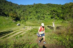 BIB: 
                            <button type="button" onclick="openModal(19071197)" class="btn btn-primary btn-sm float-right btn-popup" data-toggle="modal" data-target=".modal-high-quality">
                        <i class="fas fa-shopping-cart"></i> Add to Cart
                    </button>
                                            <button type="button" onclick="isThisMe(19071197, true)" class="btn btn-success btn-sm float-right btn-popup btn-isme hidden" data-toggle="tooltip" data-placement="bottom" title="นี่คือรูปของคุณใช่ไหม คลิกที่นี่เพื่อเอาเข้าอัลบั้ม">
                        <i class="fas fa-plus"></i> Add to album
                    </button>
                    <button type="button" onclick="isThisMe(19071197, false)" class="btn btn-warning btn-sm float-right btn-popup btn-isnotme hidden">
                        <i class="fas fa-ban"></i> Remove from album
                    </button>