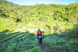 BIB: 
                            <button type="button" onclick="openModal(19348627)" class="btn btn-primary btn-sm float-right btn-popup" data-toggle="modal" data-target=".modal-high-quality">
                        <i class="fas fa-shopping-cart"></i> Add to Cart
                    </button>
                                            <button type="button" onclick="isThisMe(19348627, true)" class="btn btn-success btn-sm float-right btn-popup btn-isme hidden" data-toggle="tooltip" data-placement="bottom" title="นี่คือรูปของคุณใช่ไหม คลิกที่นี่เพื่อเอาเข้าอัลบั้ม">
                        <i class="fas fa-plus"></i> Add to album
                    </button>
                    <button type="button" onclick="isThisMe(19348627, false)" class="btn btn-warning btn-sm float-right btn-popup btn-isnotme hidden">
                        <i class="fas fa-ban"></i> Remove from album
                    </button>