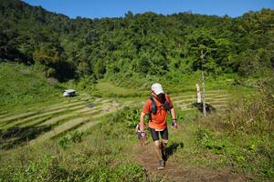 BIB: 
                            <button type="button" onclick="openModal(19098504)" class="btn btn-primary btn-sm float-right btn-popup" data-toggle="modal" data-target=".modal-high-quality">
                        <i class="fas fa-shopping-cart"></i> Add to Cart
                    </button>
                                            <button type="button" onclick="isThisMe(19098504, true)" class="btn btn-success btn-sm float-right btn-popup btn-isme hidden" data-toggle="tooltip" data-placement="bottom" title="นี่คือรูปของคุณใช่ไหม คลิกที่นี่เพื่อเอาเข้าอัลบั้ม">
                        <i class="fas fa-plus"></i> Add to album
                    </button>
                    <button type="button" onclick="isThisMe(19098504, false)" class="btn btn-warning btn-sm float-right btn-popup btn-isnotme hidden">
                        <i class="fas fa-ban"></i> Remove from album
                    </button>