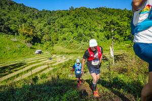 BIB: 2005
                            <button type="button" onclick="openModal(19350627)" class="btn btn-primary btn-sm float-right btn-popup" data-toggle="modal" data-target=".modal-high-quality">
                        <i class="fas fa-shopping-cart"></i> Add to Cart
                    </button>
                                            <button type="button" onclick="isThisMe(19350627, true)" class="btn btn-success btn-sm float-right btn-popup btn-isme hidden" data-toggle="tooltip" data-placement="bottom" title="นี่คือรูปของคุณใช่ไหม คลิกที่นี่เพื่อเอาเข้าอัลบั้ม">
                        <i class="fas fa-plus"></i> Add to album
                    </button>
                    <button type="button" onclick="isThisMe(19350627, false)" class="btn btn-warning btn-sm float-right btn-popup btn-isnotme hidden">
                        <i class="fas fa-ban"></i> Remove from album
                    </button>