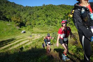 BIB: 
                            <button type="button" onclick="openModal(19097747)" class="btn btn-primary btn-sm float-right btn-popup" data-toggle="modal" data-target=".modal-high-quality">
                        <i class="fas fa-shopping-cart"></i> Add to Cart
                    </button>
                                            <button type="button" onclick="isThisMe(19097747, true)" class="btn btn-success btn-sm float-right btn-popup btn-isme hidden" data-toggle="tooltip" data-placement="bottom" title="นี่คือรูปของคุณใช่ไหม คลิกที่นี่เพื่อเอาเข้าอัลบั้ม">
                        <i class="fas fa-plus"></i> Add to album
                    </button>
                    <button type="button" onclick="isThisMe(19097747, false)" class="btn btn-warning btn-sm float-right btn-popup btn-isnotme hidden">
                        <i class="fas fa-ban"></i> Remove from album
                    </button>