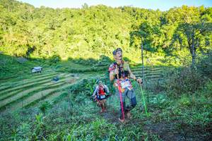 BIB: 2002
                            <button type="button" onclick="openModal(19347172)" class="btn btn-primary btn-sm float-right btn-popup" data-toggle="modal" data-target=".modal-high-quality">
                        <i class="fas fa-shopping-cart"></i> Add to Cart
                    </button>
                                            <button type="button" onclick="isThisMe(19347172, true)" class="btn btn-success btn-sm float-right btn-popup btn-isme hidden" data-toggle="tooltip" data-placement="bottom" title="นี่คือรูปของคุณใช่ไหม คลิกที่นี่เพื่อเอาเข้าอัลบั้ม">
                        <i class="fas fa-plus"></i> Add to album
                    </button>
                    <button type="button" onclick="isThisMe(19347172, false)" class="btn btn-warning btn-sm float-right btn-popup btn-isnotme hidden">
                        <i class="fas fa-ban"></i> Remove from album
                    </button>